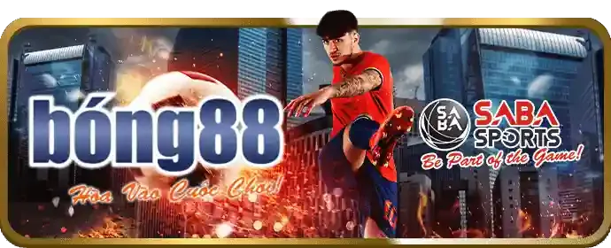 Hướng dẫn chơi cá cược trực tuyến cho người mới bắt đầu tại 8s08